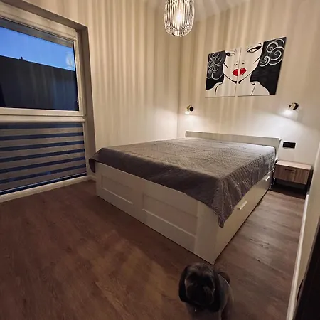 New Apartment, Great Location