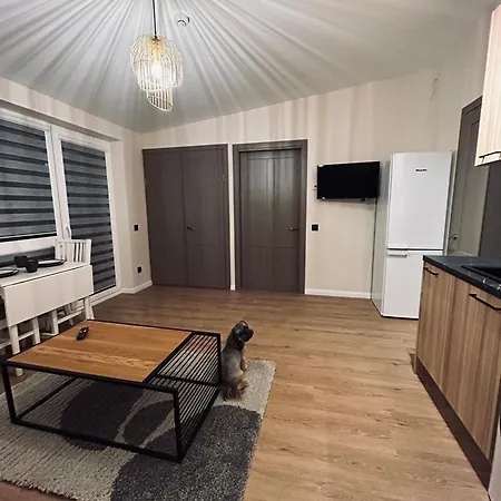 New Apartment, Great Location Apartment